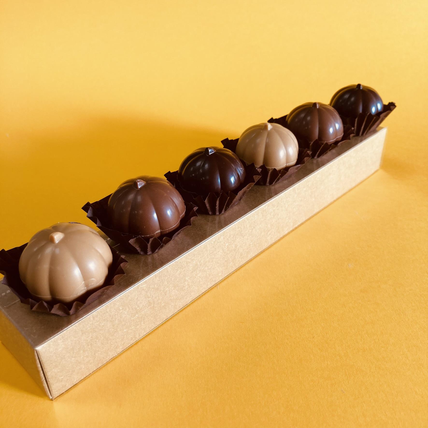 Citrouillettes praline réglette Aline Géhant Chocolatier 2026